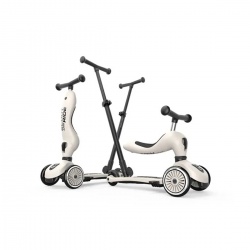 Romobil Highwaykick1 PushAndGo - Ash