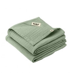 Tetra pelene 2kom - Sage